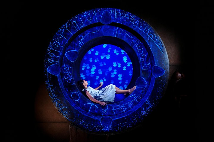 Dive into a mesmerizing underwater realm filled with shimmering marine life and intriguing artifacts. Experience the wonder of the Lost Chambers while learning about the mysteries of ancient Atlantis.